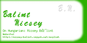 balint micsey business card